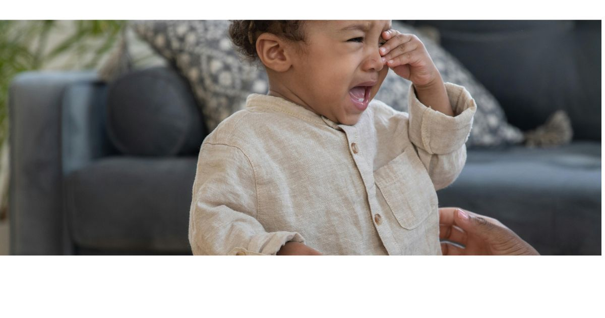 Why is my Toddlers Biting? Find out how to Stop It